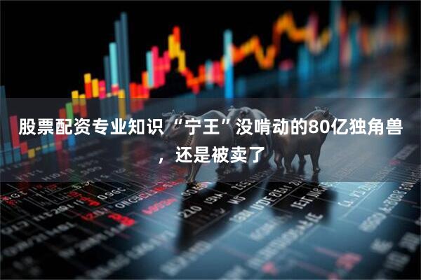 股票配资专业知识 “宁王”没啃动的80亿独角兽，还是被卖了